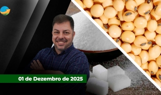 Fechamento de Mercado - Programa Completo