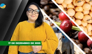 Fechamento de Mercado - Programa Completo