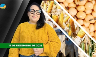 Fechamento de Mercado - Programa Completo