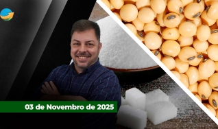 Fechamento de Mercado - Programa Completo