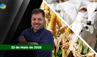 Fechamento de Mercado - Programa Completo
