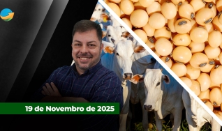 Fechamento de Mercado - Programa Completo