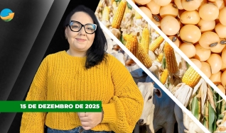 Fechamento de Mercado - Programa Completo