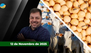 Fechamento de Mercado - Programa Completo