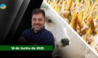 Fechamento de Mercado - Programa Completo