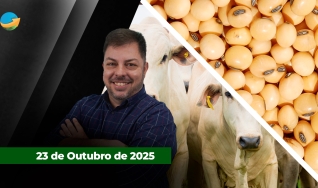 Fechamento de Mercado - Programa Completo