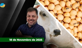 Fechamento de Mercado - Programa Completo