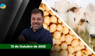 Fechamento de Mercado - Programa Completo