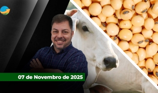 Fechamento de Mercado - Programa Completo