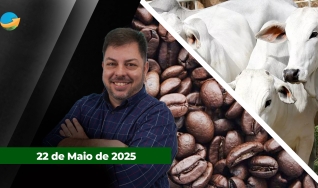 Fechamento de Mercado - Programa Completo