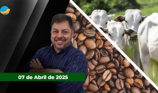 Fechamento de Mercado - Com Aleksander Horta