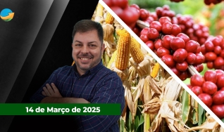Fechamento de Mercado - Com Aleksander Horta