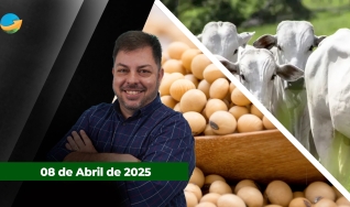 Fechamento de Mercado - Com Aleksander Horta