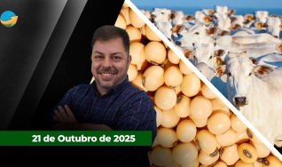 Fechamento de Mercado - Programa Completo