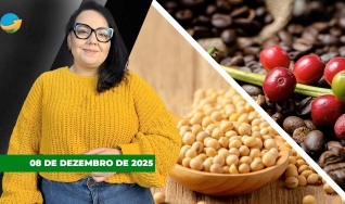Fechamento de Mercado - Programa Completo