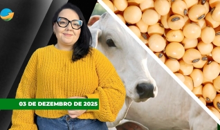 Fechamento de Mercado - Programa Completo