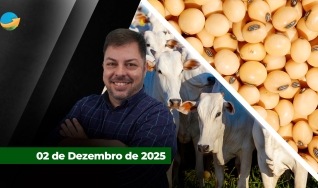 Fechamento de Mercado - Programa Completo