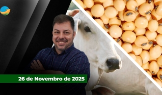 Fechamento de Mercado - Programa Completo