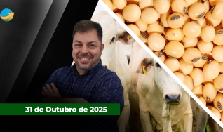 Fechamento de Mercado - Programa Completo