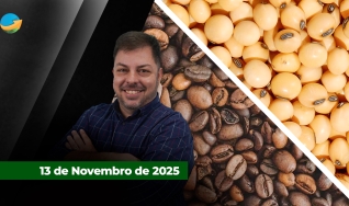 Fechamento de Mercado - Programa Completo