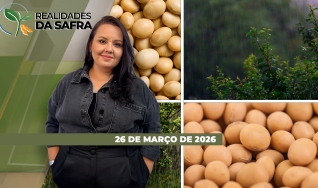 Realidades da Safra - Notícias Agrícolas