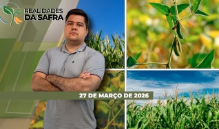 Realidades da Safra - Notícias Agrícolas