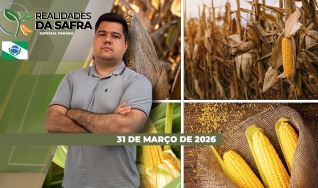 Realidades da Safra