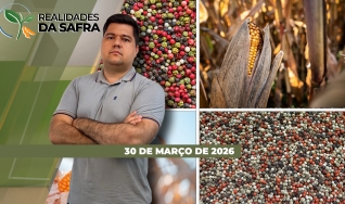 Realidades da Safra - Notícias Agrícolas