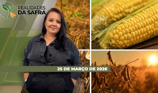 Realidades da Safra - Notícias Agrícolas