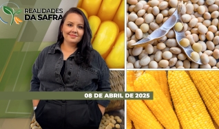 Realidades da Safra - Notícias Agrícolas