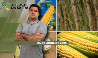 Realidades da Safra - Notícias Agrícolas