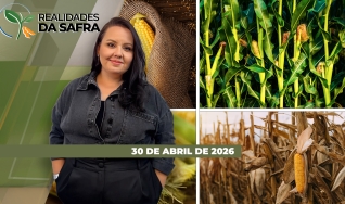 Realidades da Safra - Notícias Agrícolas