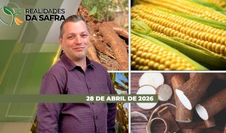 Realidades da Safra - Notícias Agrícolas