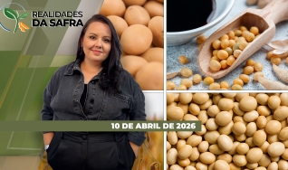Realidades da Safra - Notícias Agrícolas