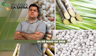 Realidades da Safra - Notícias Agrícolas