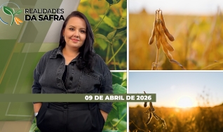 Realidades da Safra - Notícias Agrícolas