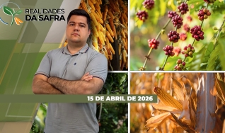 Realidades da Safra - Notícias Agrícolas