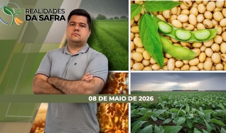 Realidades da Safra - Notícias Agrícolas