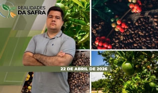 Realidades da Safra - Notícias Agrícolas