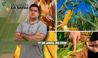 Realidades da Safra - Notícias Agrícolas