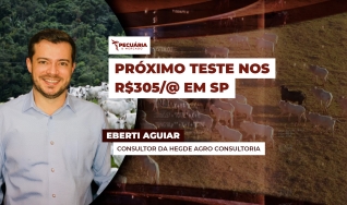 Eberti Aguiar - Consultor da Hegde Agro Consultoria