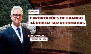 Érico Pozzer - Presidente - APA