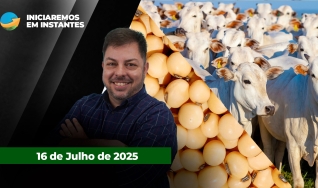 Fechamento de Mercado - Programa Completo