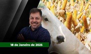 Fechamento de Mercado - Programa Completo