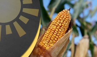 Bom dia Agro