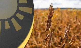 Matheus Pereira - Diretor da Pátria Agronegócios