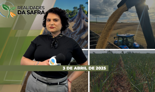 Realidades da Safra - Notícias Agrícolas