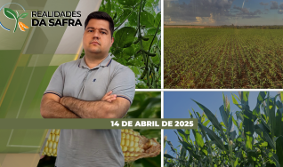 Realidades da Safra - Notícias Agrícolas