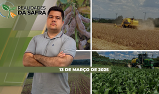 Realidades da Safra - Notícias Agrícolas