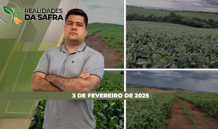 Realidades da Safra - Notícias Agrícolas